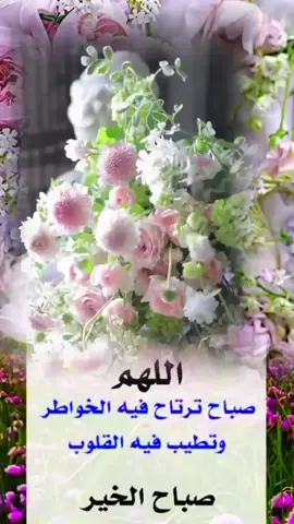 #كلمات_مؤثرة_وجميلة #صباح_السعادة🌹🤍🌹 #للصباح_نسمات_جميله #هدوء_الصباح🤍 #صباح_الخير @🎤طرب🎤 @Hagop 
