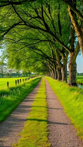 #القران_الكريم #Quran #راحة_نفسية #القارئ_بلال_دربالي #foryou #fypシ  #اكسبلور_قران_كريم_اكتب_شي_توجر_عليه🕊🌱 #بلال_دربالي #صباح_الخير #Homedecor