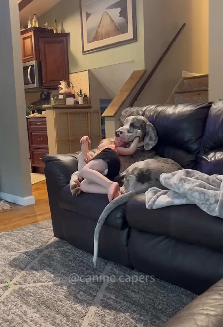 Dogs and kids are best friends 🥰#dog #kid #baby #pets #funny #dogsoftiktok #funnyvideos #cutedog #animals 