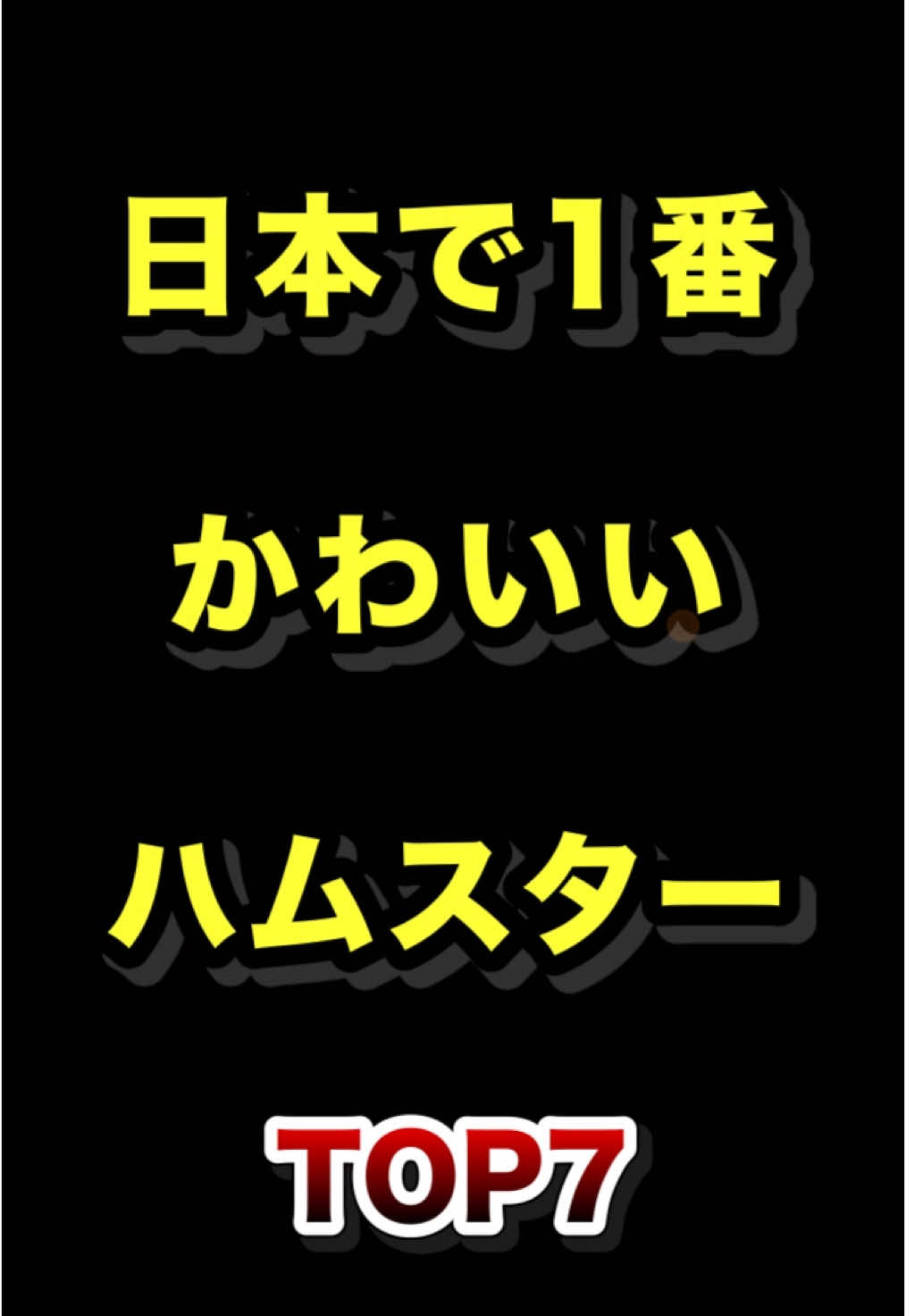 日本で1番かわいいハムスターTOP7  #日本一 #かわいい #ハムスター #ランキング動画　