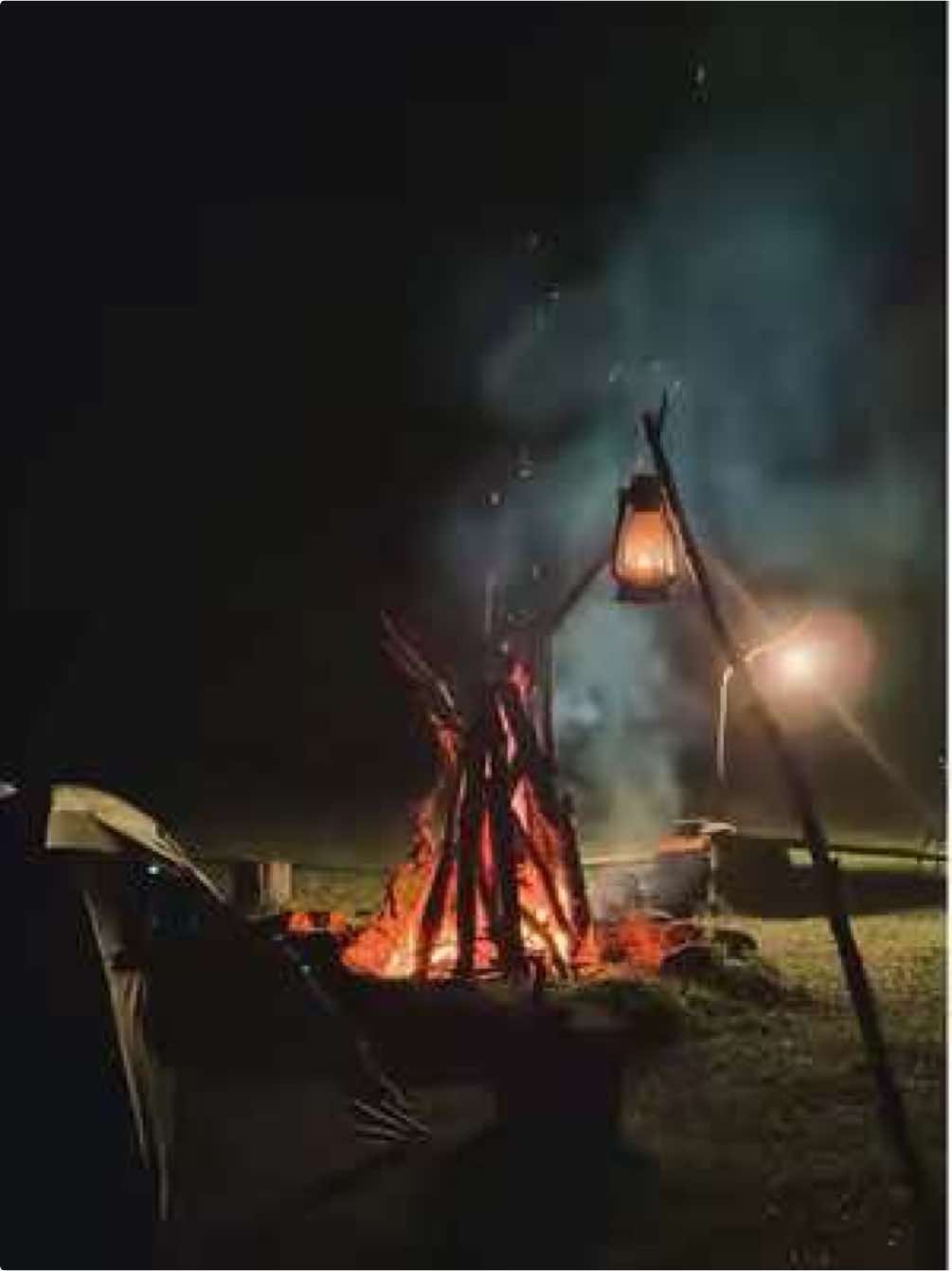 රැක ගැනීම ප්‍රශ්නයක්, නිදහස උත්තරයක්, බලාහිදීම බලාපොරොත්තුවක්, අතැර බලාසිටින්න. - දිනේෂ්  #campfire #nightvibe #campinginforest #viral #cool 