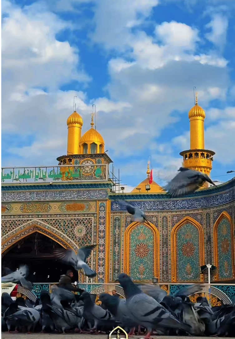 إِنَّ ٱلَّذِينَ قَالُواْ رَبُّنَا ٱللَّهُ ثُمَّ ٱسۡتَقَٰمُواْ فَلَا خَوۡفٌ عَلَيۡهِمۡ #قرآن #قران_كريم #قران #صباح_الخير #صبحكم_الله_بالخير #صباحيات #يارسول_الله #تسبيح #صلاة #أجر_الرسالة #الحسين #ياحسين #ياالله #اللهم_عجل_لولیک_الفرج #ياعباس #الحسين #العتبة_العباسية_المقدسة #العتبة_الحسينية_المقدسة #الحسين_نهج #أهل_البيت #يافاطمة #يازهراء #ياقمر_بني_هاشم #اباعبدالله #ياساقي_عطاشى_كربلاء #كربلاء #كربلاء_المقدسة #العتبة_العلوية_المقدسة #اكسبلور #ترند 