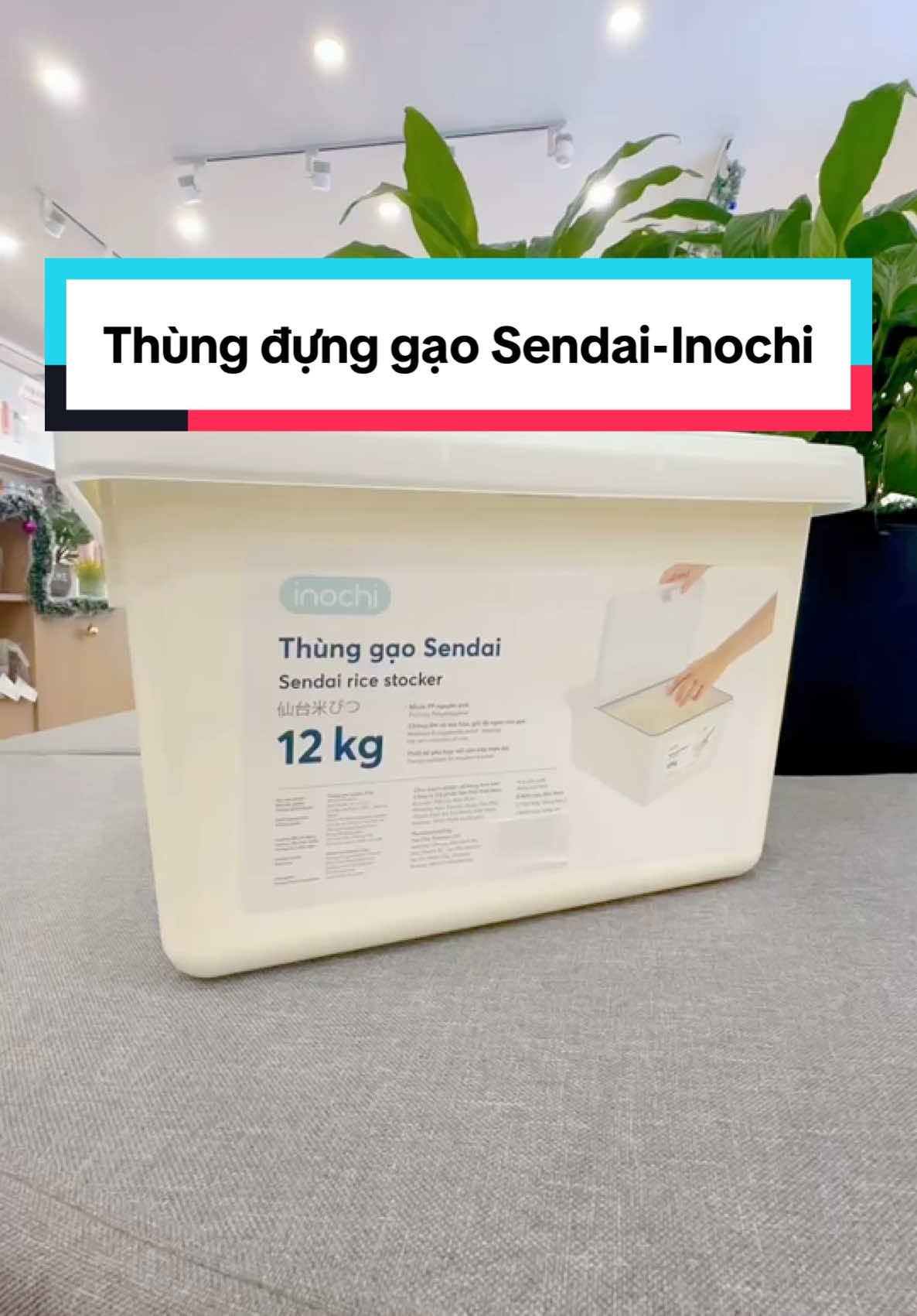 Thùng đựng gạo Shendai-Inochi #thunggao #thungdunggao #thungdunggaothongminh #inochi #inochivietnam #giadungtienich #giadungthongminh #giadung #nhuacaocap 