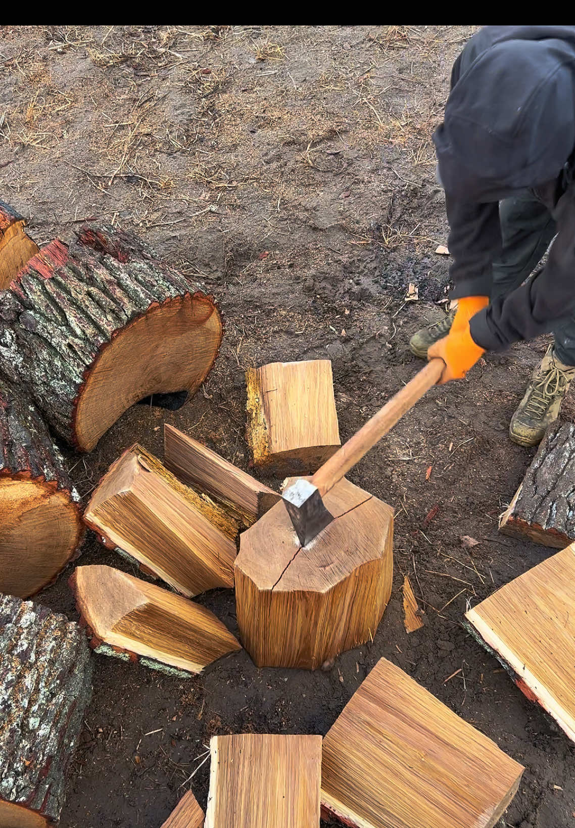 chopping an oak with an axe🪓🪵#fyp #global #axe #woodworking #oak #air slashing