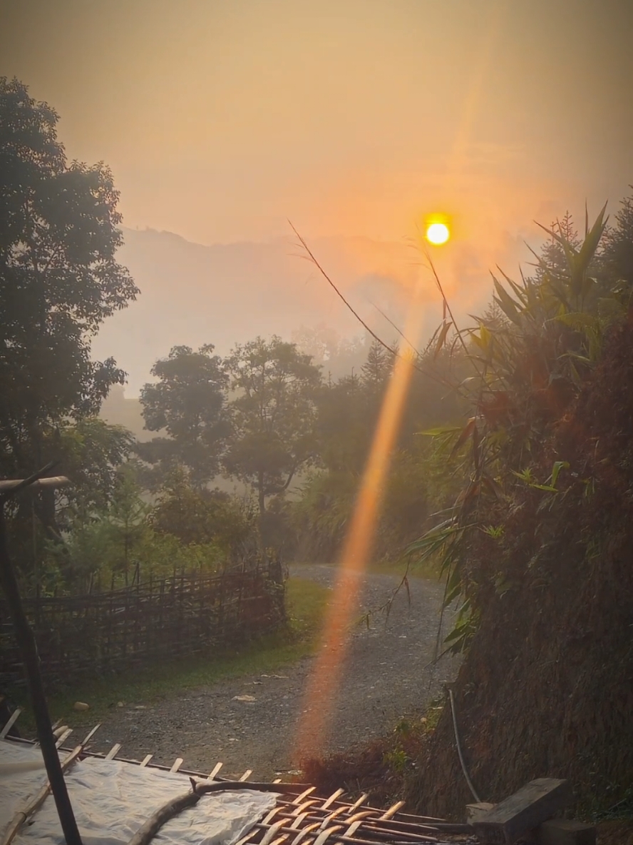 bị mê bạn nhạc này ghê Xomu - Lanterns (MelodyXD Remix) 😍🔥🎶 #ÂmNhạc #Xomu #Lanterns #Remix #NgheNhạc #CapCut #hashtag #xuhuong 