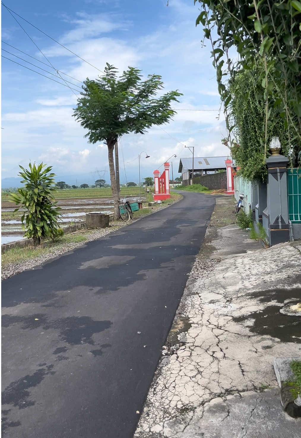 Suasana desa menjelang siang #desa #desajuwiring #desaklaten #suasanapagididesa #udaradesa 