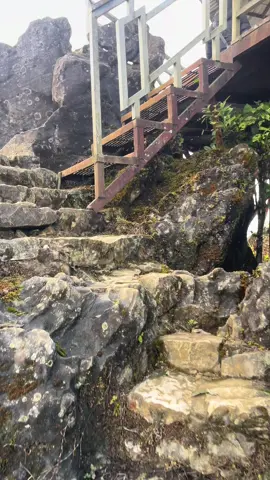 Biển mây tại Núi Hàm Rồng Sapa #cuongodausapa #bienmay #sapa 