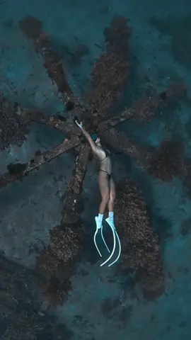 It’s Kuyamis season so come with me as I discover the underrated underwater paradise of my home province Misamis Oriental—where vibrant coral gardens, diverse marine life, and crystal-clear waters remain untouched and undiscovered by many. Dive into the beauty beneath the surface. 🌊✨  🎥 @loycabz  ⛺️ @mynameisbluefreediving  📍Medina, Misamis Oriental #UnderratedBeauty #MedinaMisOr #UnderwaterWonders #KUYAMIS #freediver #freediving #ocean #MisamisOriental #medinaMisamisOriental #mermaid 