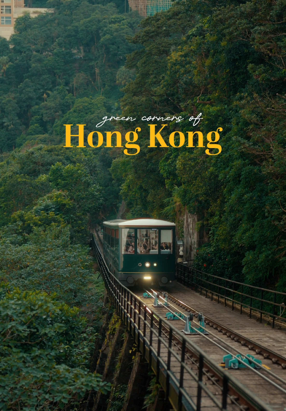 Hong Kong’s chill side 🌿 📷 Shot on Sony a7CII   🎨 Edited in Davinci Resolve #hongkong #cinematic #filmmaker 