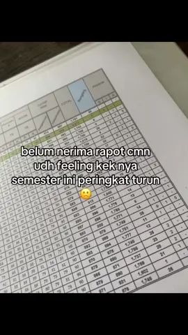 hmm#fyp #fypage #raport 