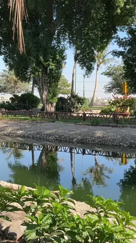 مساء الخير 🤍🕊🥀🥀🚶🏻‍♂️