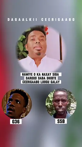 DAROOD DABA DHIIBTE WAXBA KU DHACAY