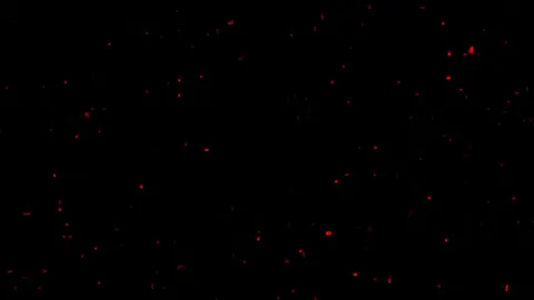 إعادة نشر💙🌷+صعدو الفيديو❤🌷#أهل_البيت_عليهم_السلام #تصميمي  #تصميم_فيديوهات#مصمم_حسيني #مصممين #تصميم_حسيني  #حسينيات  #صعدو_الفيديو #مصمم_حمودي #لايك_متابعه_اكسبلور #احبكم❤️ #tiktoklongs  #wow #fyp #baby #keşfet #parati #unfrezzmyaccount #tiktok #viral 