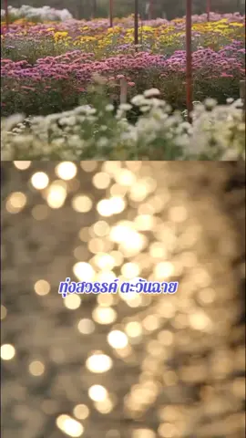#คลองหลวงปทุมธานี #สวนดอกไม้ #บูชาพระรัตนตรัย #สาธุๆๆ 