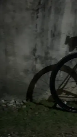 sign nato na magka fixie ka ngayong pasko🎄🤞🏽❤️#fixedgearphilippines #fixie #fyppppppppppppppppppppppp #solana #bike #cycling #solanaevolution #fixiegearphillipines #fyp #christmas 