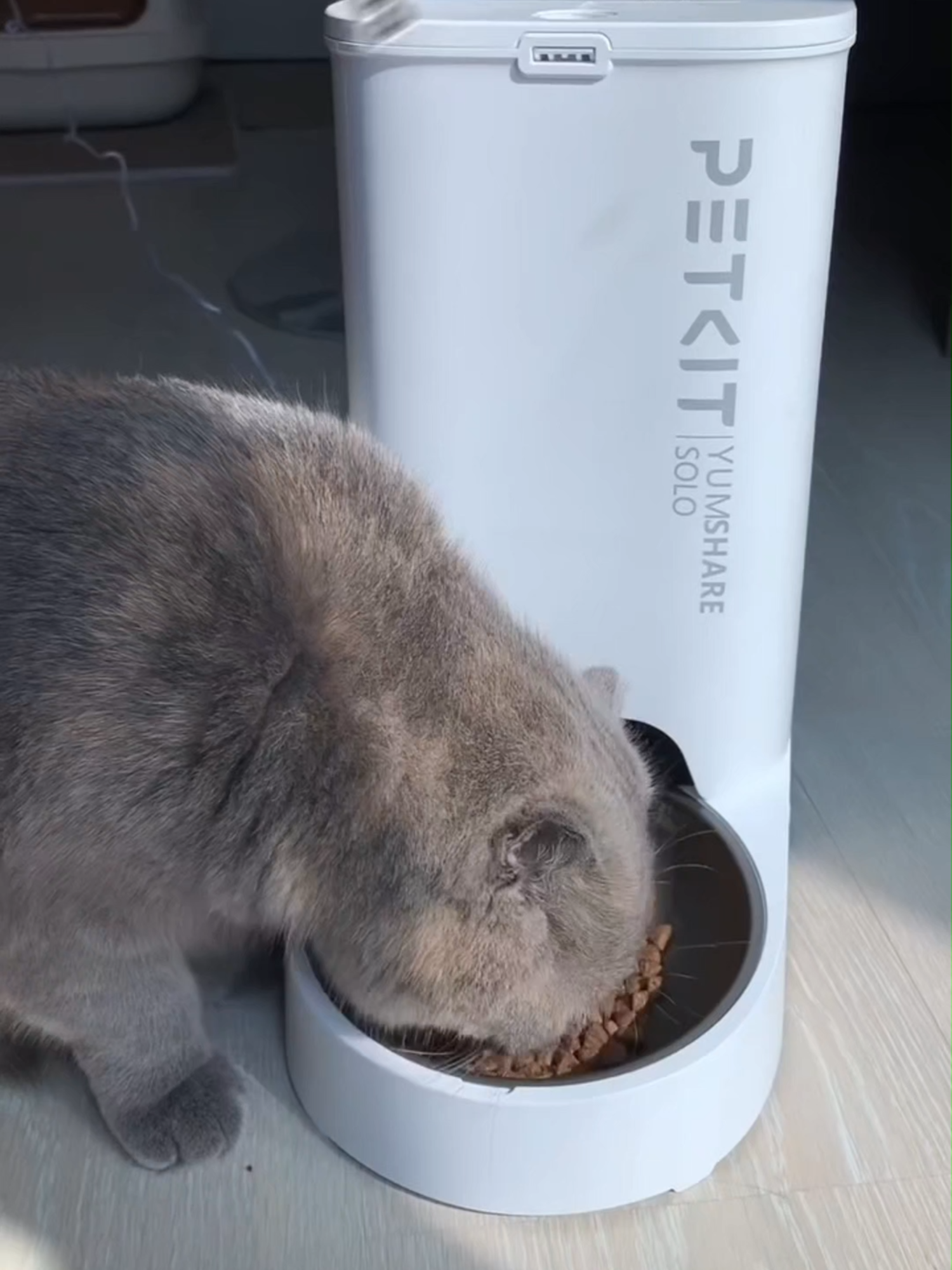 Máy ăn tự động cho mèo Petkit Yumshare Solo #petkit #helipet #mayan #mayantudongchomeo #thucung #meow #xuhuong