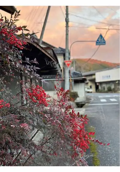 suasana sore di pelosok jepang  #4u #fypage #photos #japan🇯🇵 #autumnvibes #fypforyou 