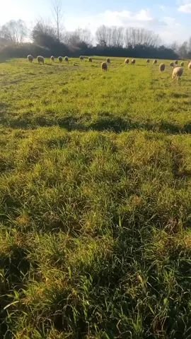 #Allah bu əziyətləmizin qarşılığın versin İnşallah🙏🤲