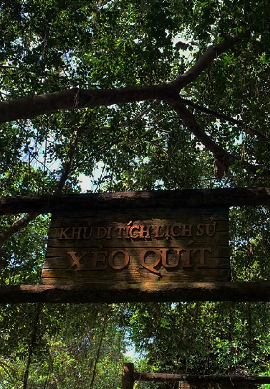 Mời bạn về Đồng Tháp 🌱#xeoquyt #66dongthap #xuhuongtiktok #viralvideo 