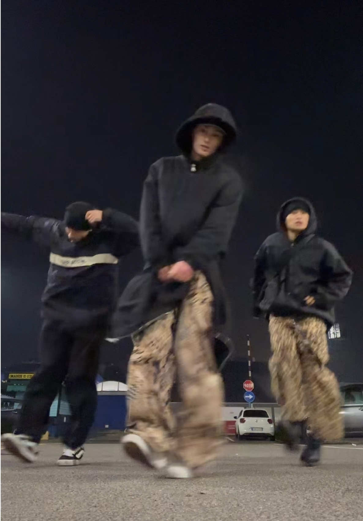 Sturdy nella savana😂 #sturdy #trio #dance #perte #fyp #foryou 