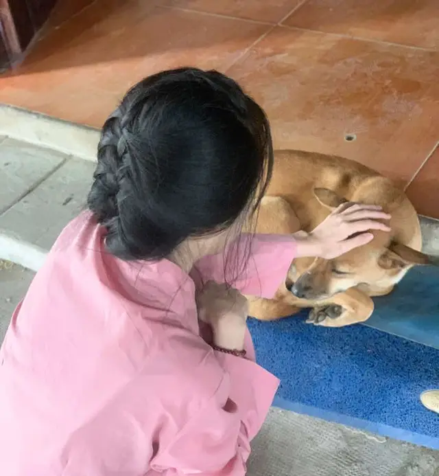 - Luân hồi súc sinh, kiếp xoay vần,   Trong vòng sinh tử, chẳng hẹn ngày.   Chó, mèo, trâu, ngựa, kiếp muôn loài,   Lướt qua nhau, chẳng thể nhớ ai.   - Đau khổ trầm luân, bao kiếp sống,   Chân trời rộng, nhưng chẳng bến bờ.   Sự sống ngắn ngủi, rồi lại qua,   Lượn vòng tròn, giữa cõi mê mờ.   - Một kiếp sinh, một kiếp tử,   Rồi lại về trong vòng xoáy ấy.   Chỉ mong rằng, từ từ tỉnh thức,   Thoát khỏi vòng luân hồi u mê.🙏 #nammobonsuthichcamauniphat #xuhuong #adida 