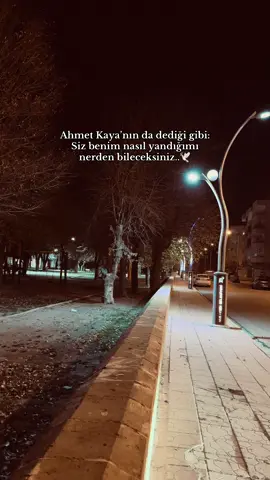 “𝐒𝐢𝐥𝐢𝐧𝐦𝐞𝐲𝐞𝐜𝐞𝐤 𝐬𝐨̈𝐳 𝐛ı𝐫𝐚𝐤.❤️‍🩹”          #ahmetkaya #nerdenbileceksiniz #ahmetkayaşarkıları #storylik #storytime #duygusal #duygusalvideolar #geceyebirsözbırak 