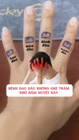 Đau đầu sẽ không ghé thăm nhờ bấm các huyệt này #suckhoe #LearnOnTikTok #daudau #meohaymoingay 