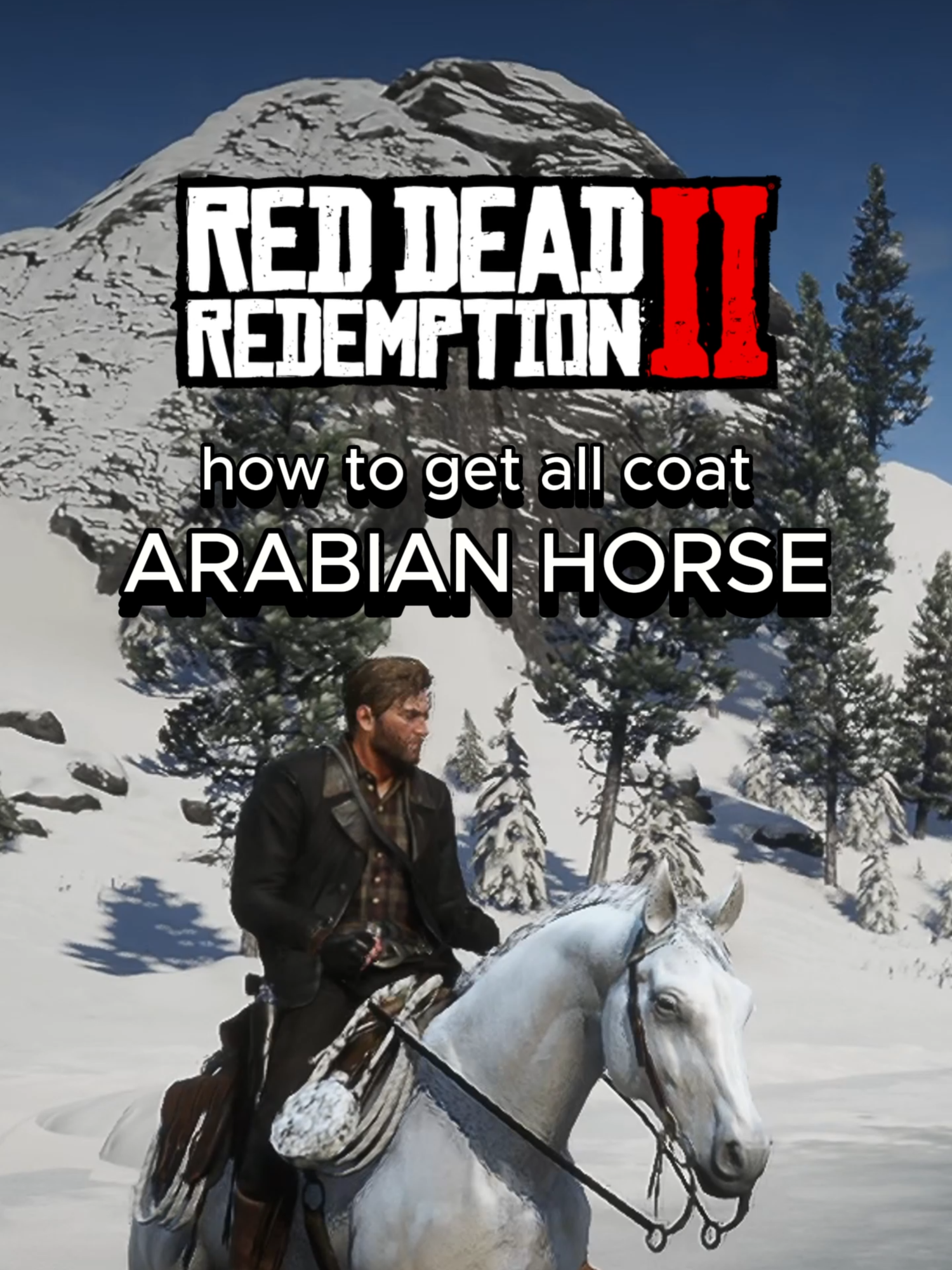 semua kuda arabian si mungil dan cepat kesukaan banyak orang! (get all coat arabian horse) | Red Dead Redemption 2 Indonesia #reddeadredemption2 #reddeadredemption2clips#rdr2 #rdr #tipsandtricks #gamer #fyp #foryou