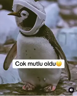🥰🥰