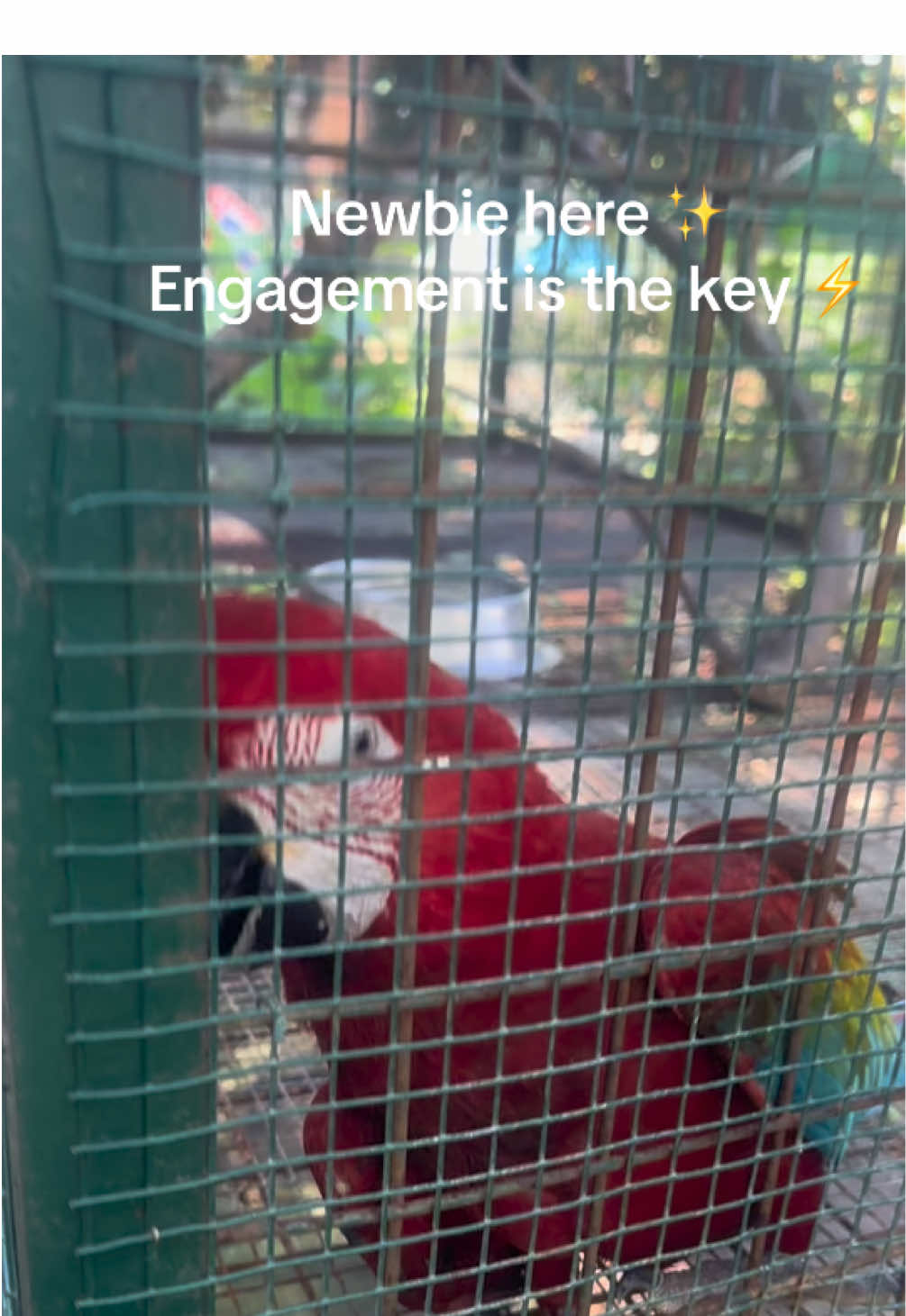 proper engegament is the key  engagement is the key engagement is the key for begginers engagement tutorial engagement is the key now followers grow up follower 10k tiktok followers engagement #follow  #followfollowfollow  #follow_  #follow? #followfollow  #properengagementisthekey #properengagement #properengagementisthekey #properengagementisthekey💗💗💗  #fyp 