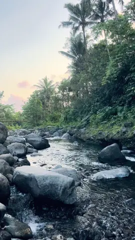 🦚🌴#pemandangan #viwes #fyp #bali #beranda #sungaiyanginda #sidemen 