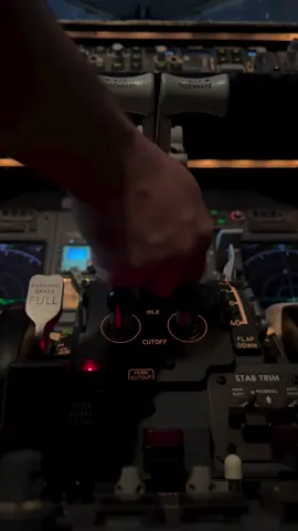 shutdown procedures #pilot #airlinepilotlife #airlinepilot #aviationlovers #pilotlife #