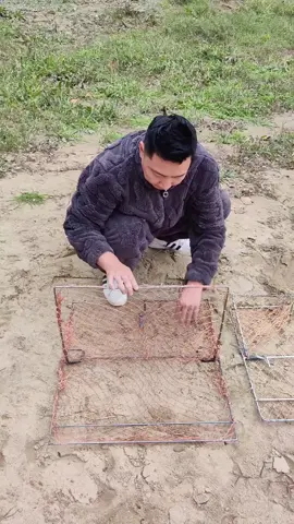 bẫy gà #xuhuongtiktok #bẫygà #mẹtbẫybìmbịp #mẹtbẫycút 