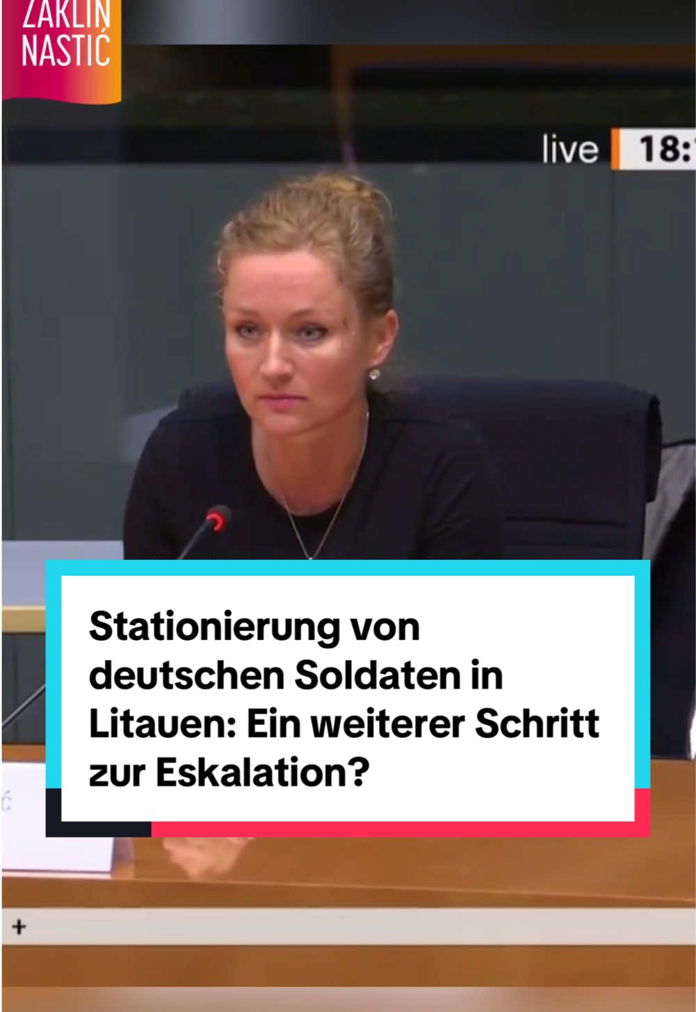 Stationierung von deutschen Soldaten in Litauen: Ein weiterer Schritt zur Eskalation oder besteht eine Perspektive, um aus der Aufrüstungsspirale wieder rauszukommen? | Anhörung mit Lühr Henken #fyp #fy #viral #reels #bundestag #bundeswehr #aufrüstung #nato #russland #litauen #verteidigungsausschuss #soldaten 