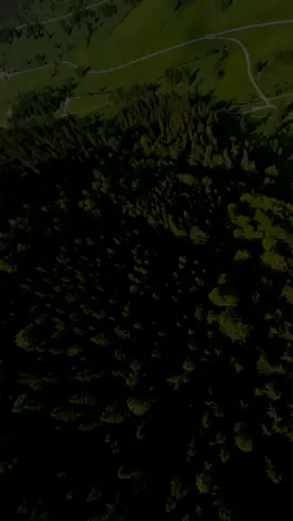 سوڕەتی (البقرة) - القارئ : ياسر الدوسري