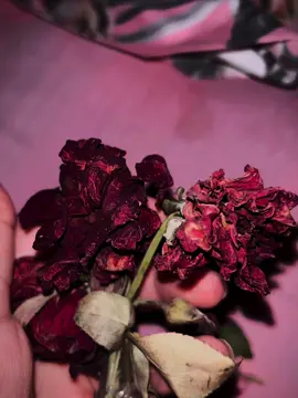 😔😅💔#JM❤️‍ #foryou #viral #sadgirl🥀 