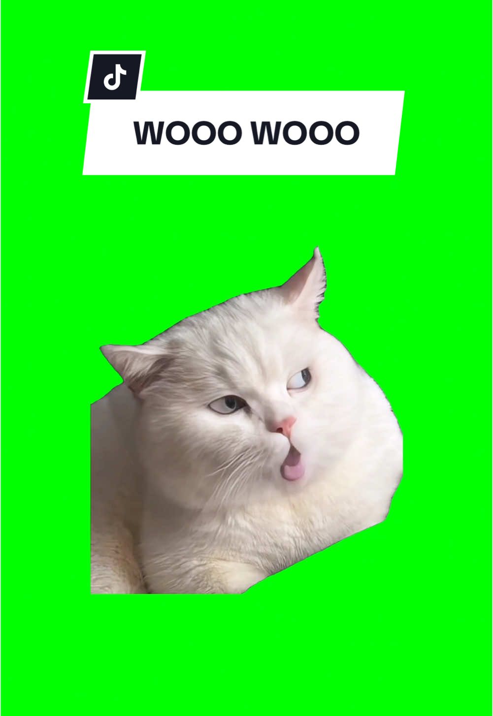 #CapCut WOOO WOOO. #greenscreen #greenscreenvideo #greenscreenoverlays #fyp #fyppage #fypシ❤️💞❤️ #meme #memes #memestagram #freefirememe #memepage #viral #viralvideos #viralreels #viralvideo #viralpost #meme2024 #cat #cats #catsofinstagram #catlover #catmemes #catmeme #trend #trending #viralcats #sillybaloo #baloosilly 