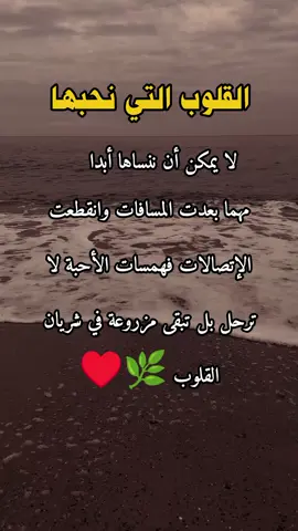 القلوب التي نحبها #روائع_الكلام #حكم #أقوال #نصائح_فوائد_حكم #اقتباسات #أمثال_وحكم_عن_الحياة #حكمة #أقوال_مأثورة #نصائح_فوائد_حكم_موعظة_مقتطفات #اقتباسات_عربية #مقولات_عبارات_خواطر_عتاب_حكم_نصائح_فوائد #أمثال_وحكم_عن_الحياة
