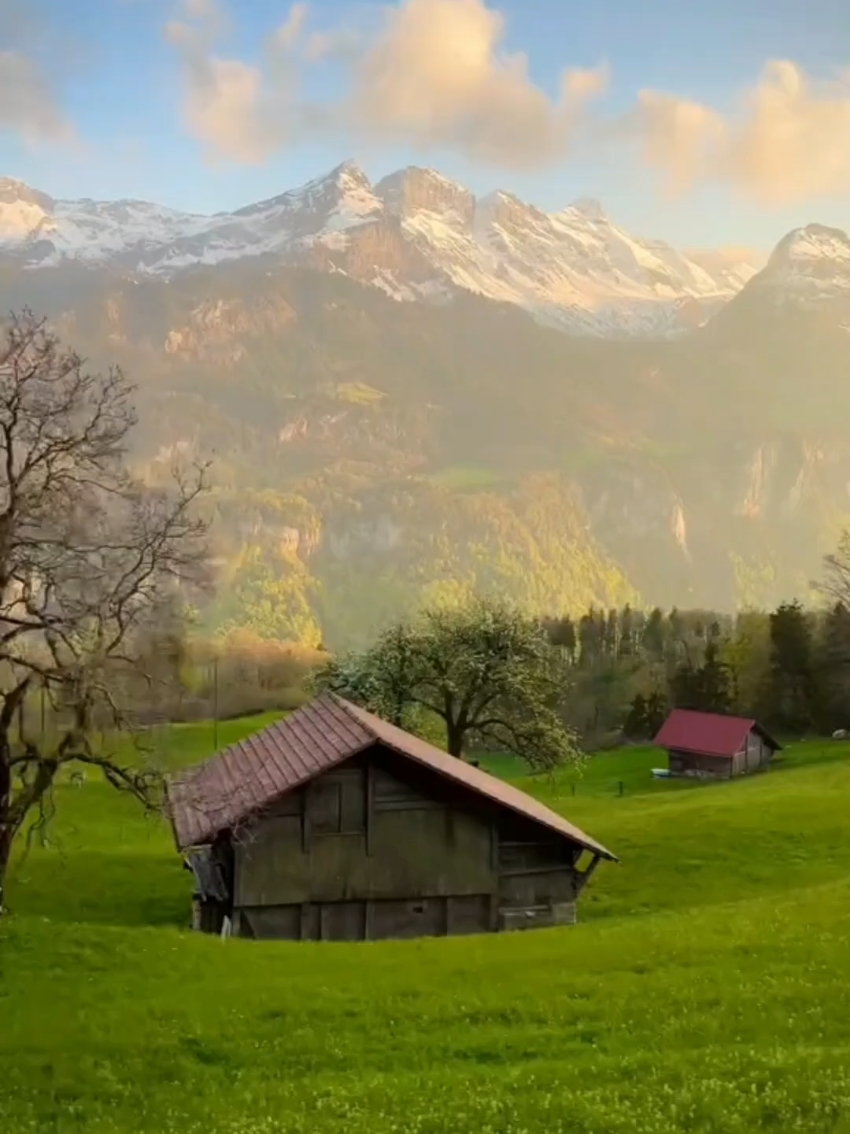 #CapCut #foryou #fyp #nature #viral #edit #Switzerland #vinlandsaga Nature in Switzerland 🙂‍↕️