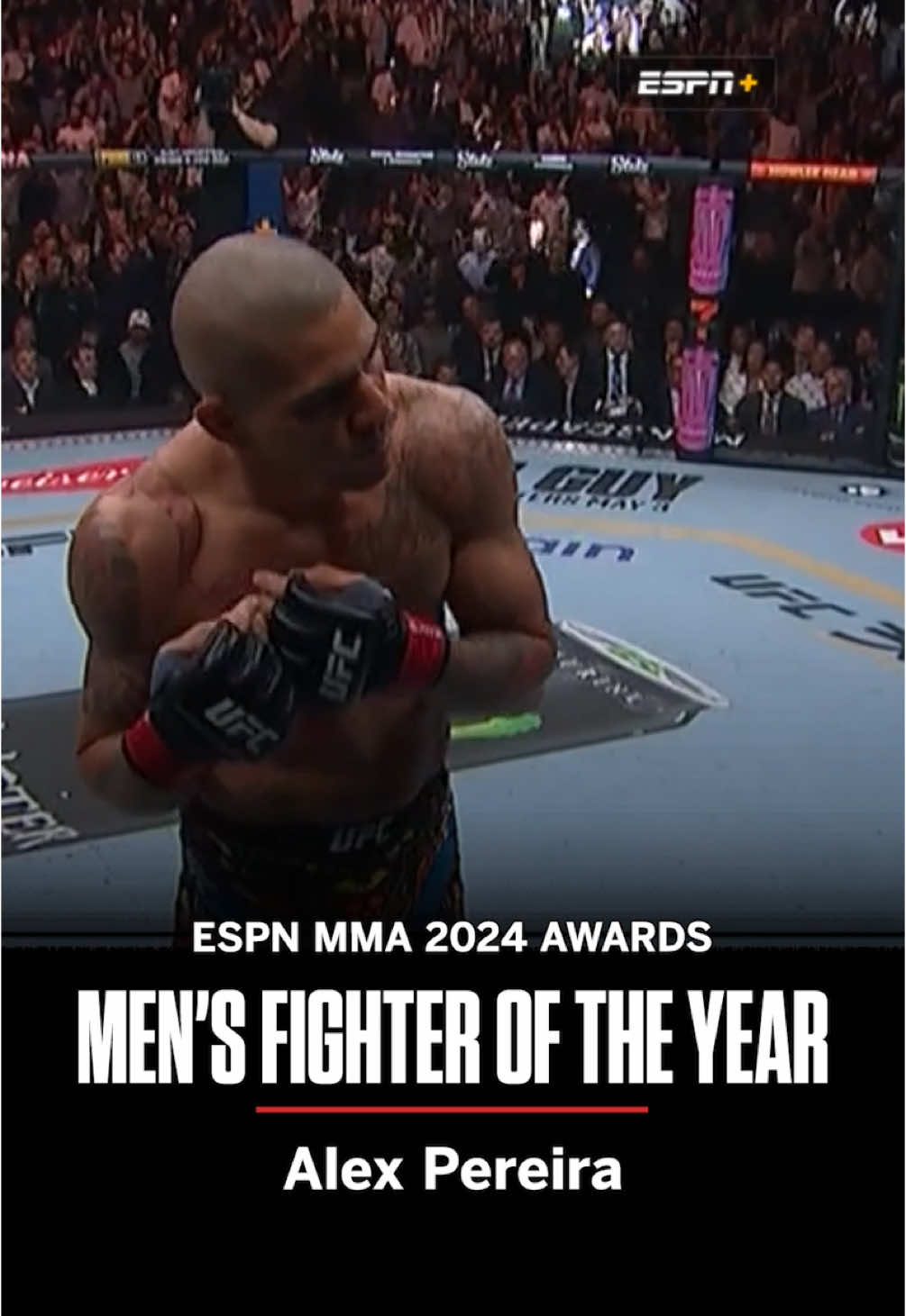 #2024 was the year of #AlexPereira 🔥 #UFC #mma #brasil #ko 