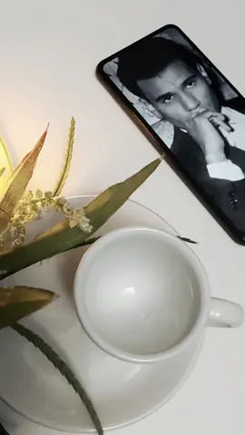 عبد الحليم حافظ 