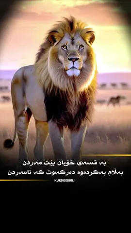 بە قسەی خۆیان بێت مەردن  بەڵام بەکردەوە دەرکەوت کە نامەردن: #kurdistan #fyp #kurd #viral #foryou  #hawler_slemani_dhok_karkuk_hallabja  #کوردستان #هەولێر_سلێمانی_دەهۆک_ڕانیه_کەرکوک 