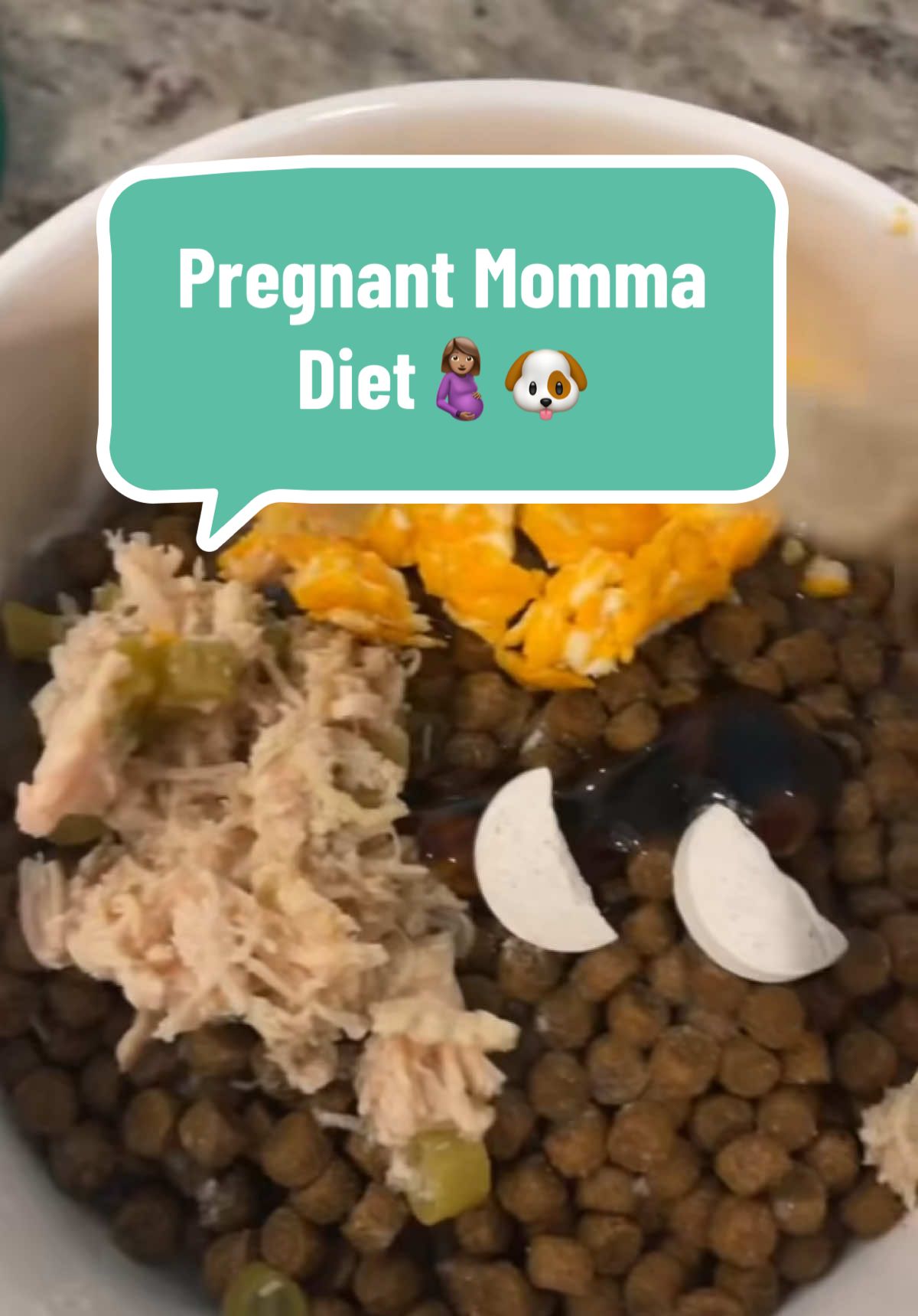 Pregnant Momma Diet🤰🏽🐶  extra nutrients, calories and calcium are very important for expecting  mommas! #FrenchBulldog #Diet #CanineNutrition #Pregnant #frenchie #asmr