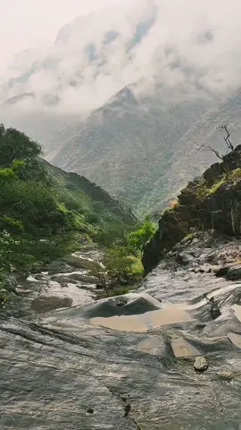 #ارح_سمعك_بالقران #foryou #سجه #جبال #اكسبلور #الطبيعة #وادي#ضباب  #طبيعة #ذكر #لا_اله_الا_الله @🌹عابر سبيل🌹 