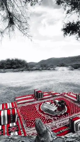 #رزفات_حربيان_العين_قديم_شلات_زاخر #حربيات_شلات #ذوق #روعه____جميل_____ذوق__ #روعه____جميل🌹_ذوق_🌹تصميمي🎼 