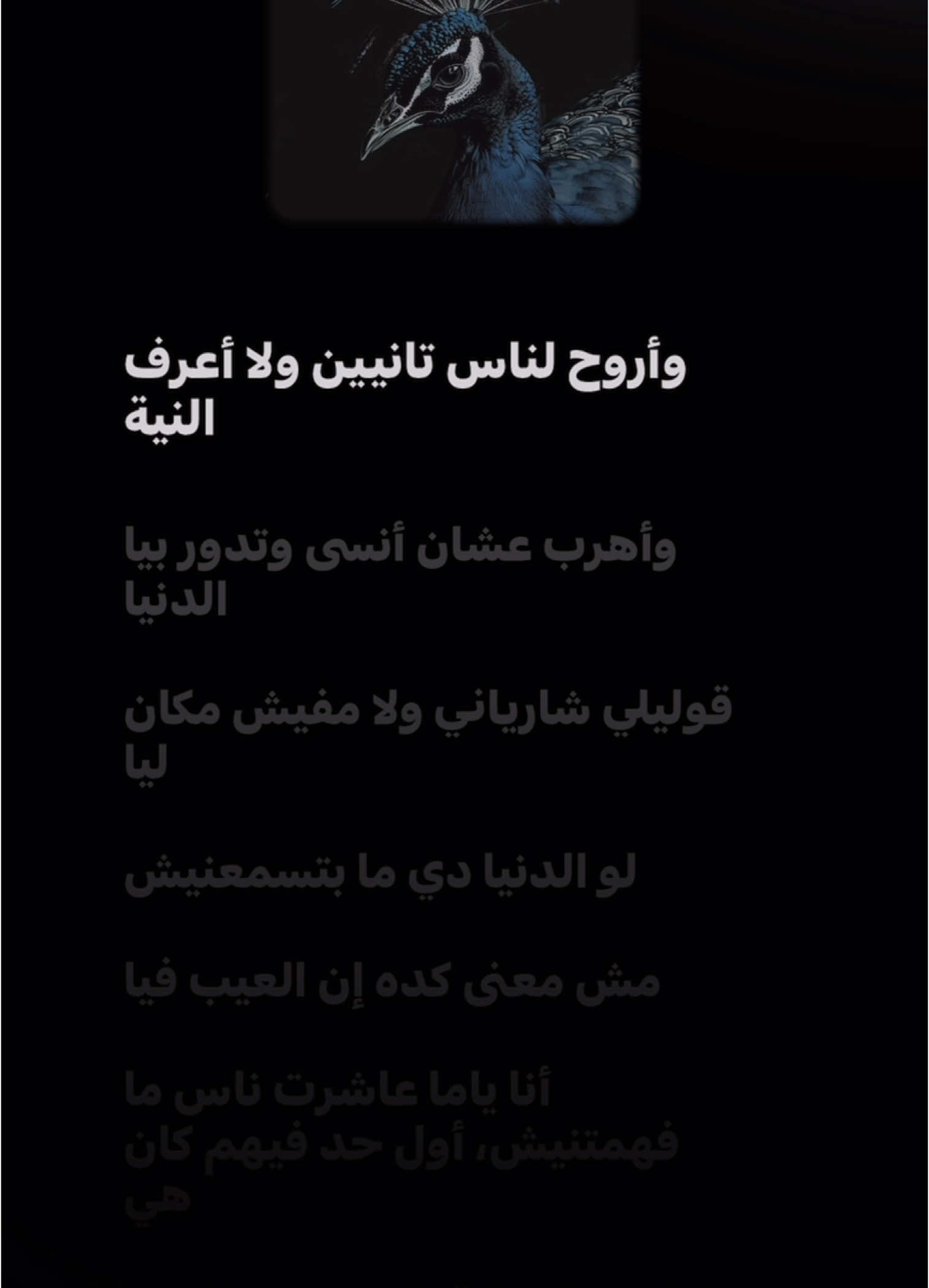 El Neyya (Full Song Lyrics) - Lege-Cy #hiphop #rap #trendi #lyrics #nhacvietlyrics #legecy 