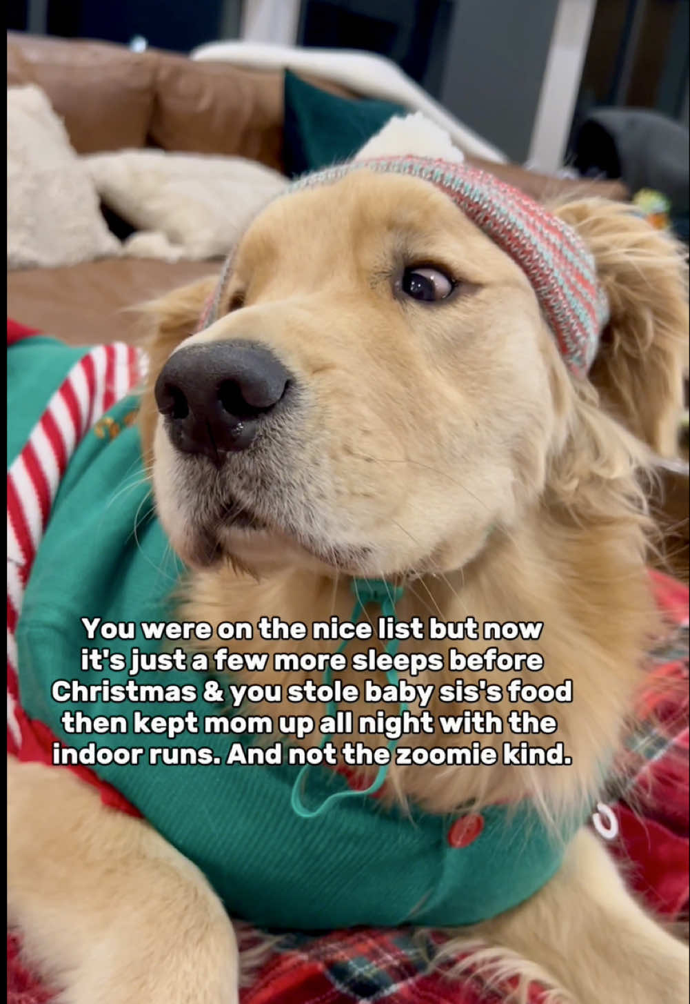 In honor of last night’s repeat offender, resharing this video from last Christmas. 🤦🏼‍♀️ Still on the nice list, though.. right?? 😅 #dogsoftiktok #goldenretriever #dogmomlife 