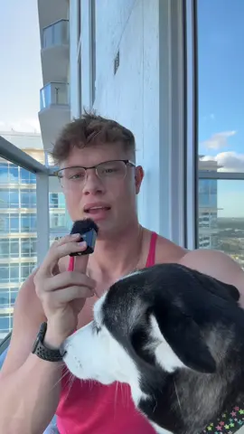A DOG WILL SOLVE ALL YOUR PROBLEMS LOL. Click the l*nk in my bio for a feee healthcare review!!! @America First Healthcare 🇺🇸 #husky #huskysoftiktok #huskypuppy 