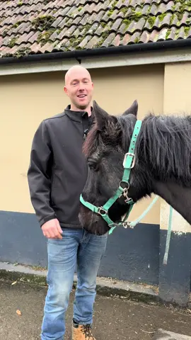 It’s the @LondonHorseShow ! you know it’s Christmas when this comes around 🐴🎄catch me in the Live Zone at 11am! #samdracottfarrier #horse #farrier 
