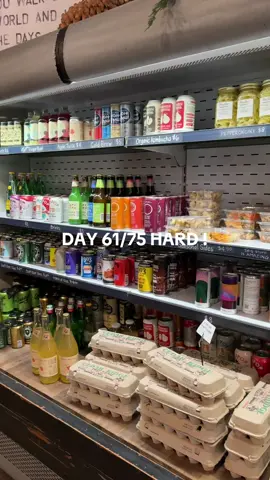 DAY 61/75 HARD ! #75hard #75hardchallenge #75hardjourney #75hardprogress #75softchallenge #diml #dallas #mckinneytx #wieiad #fulldayofeating #whatieatinadayrealistic @Califia Farms @ALOHA Protein 